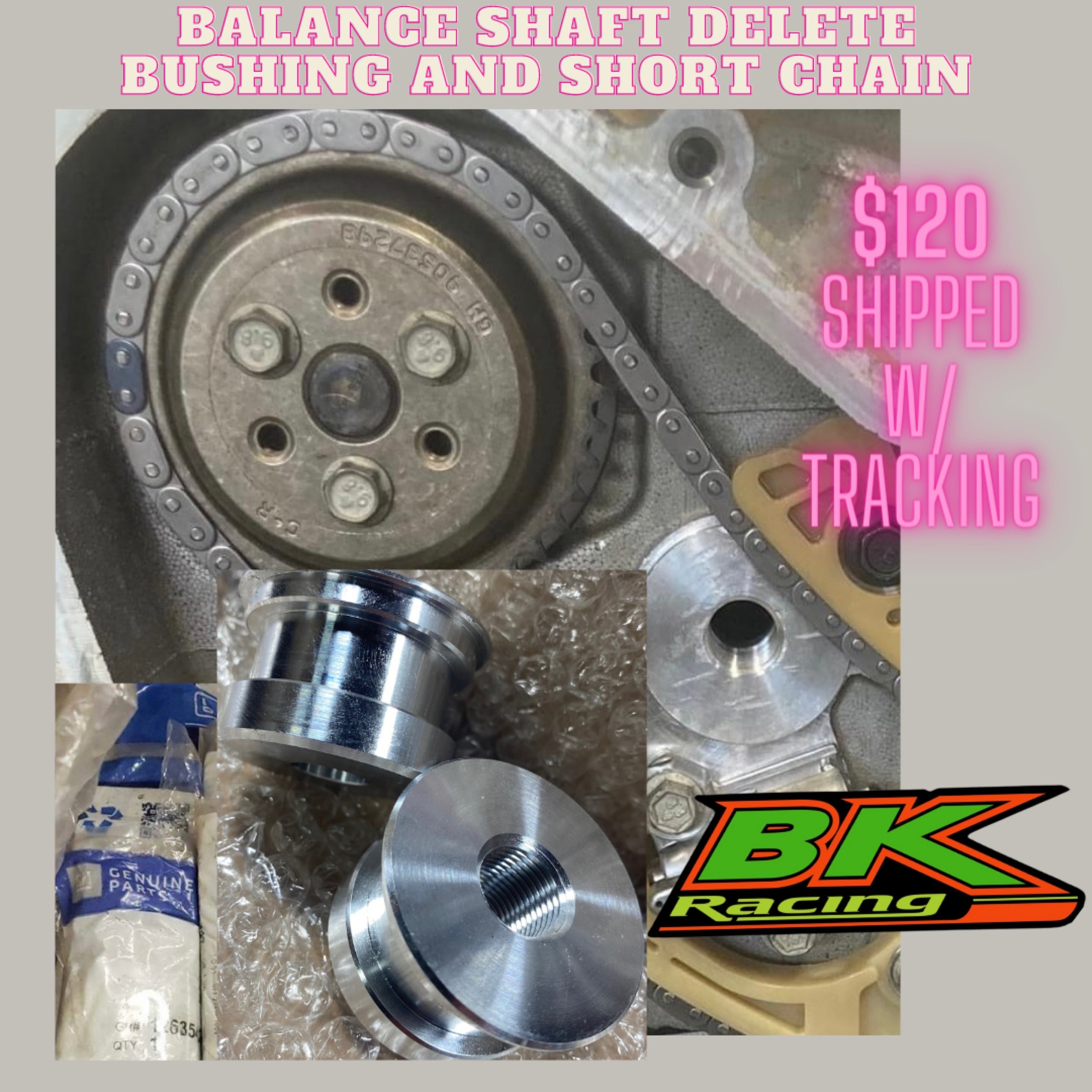 Ecotec Outer Balance Shaft Delete and Short Chain BK Racing Inc.